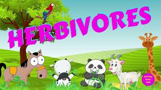 Herbivores  Types of Animals  Science for Kids [upl. by Glinys280]