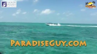 The Beautiful West Side of Ambergris Caye Belize from the water and the air 2015 [upl. by Esorylime475]