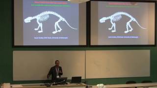 The death of dinosaurs and rise of mammals in the San Juan Basin of New Mexico USA [upl. by Mlehliw]