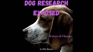 Ridglan Farms Beagle Rescue with Direct Action Everywhere DxE [upl. by Kurland]