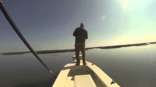 Glades Skiffin in the marshes surrounding Charleston SC for Redfish with Fly [upl. by Ellehsyt910]