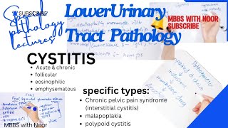 acute and chronic cystitis pathology  types of cystitis  bladder pathology  selflessmedicose [upl. by Kathi963]