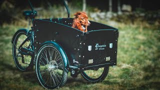 Cargo Bike of Sweden Dog Delight  First Impressions [upl. by Eittik57]