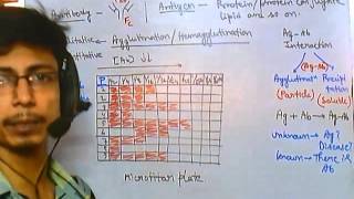 Antibody test quantitative tests [upl. by Falda]