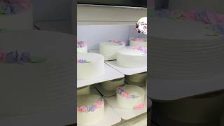 6 മണിക്കൂറിൽ 12 Cakes cakes baking cakerecipe reels shorts bulkorder business [upl. by Charissa]