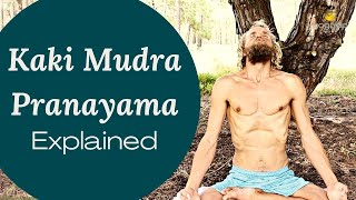 Kaki Mudra Pranayama detailed explanation amp session [upl. by Htaeh]