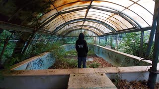 Abandoned Daresbury Hall [upl. by Fellner464]