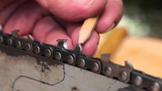 Sharpen a Chainsaw Chain  Tool Tip 10 Making Sawdust How to hand sharpen a chainsaw chain [upl. by Weywadt528]