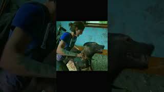 Aggressive thelastofuspart2 shorts tlou2 [upl. by Ecital]