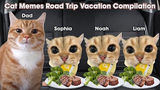 Cat Memes Road Trip Vacation Compilation [upl. by Connie]