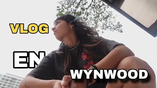 VISITAMOS WYNWOOD Vlog 2 [upl. by Brandie]