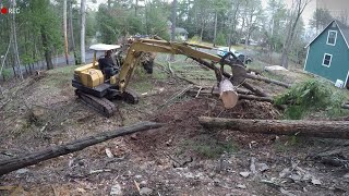 Cutting Down Trees and Grading DIRT  Beast List [upl. by Chew]