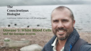 Disease 5 White Blood Cells and the Immune System [upl. by Sevik]