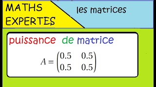 Terminale Maths Expertes Les matrices  exercice  puissance dune matrice [upl. by Attennhoj]