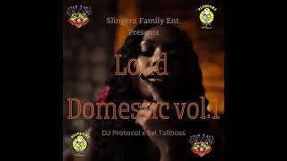 Slingerz Family Loud Domestic Vol1 RampB Mixtape Dj Protocol amp Selector Tallboss [upl. by Bethesde]