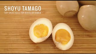 Shoyu Tamago Soy Sauce Eggs for Ramen or Bento [upl. by Ehman]