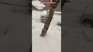 Jammu and Kashmir gulmarg snowfall jammukashmir kashmir [upl. by Rosio]