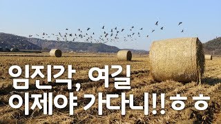 임진각 여길 이제야 가보다니 ㅎㅎㅎ [upl. by Qiratla92]