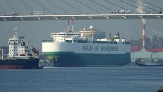 Wallenius Wilhelmsen “FAUST” at Nagoya Port [upl. by Eanyl]