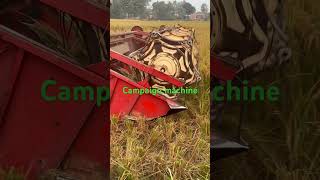 Campaign machine 👩‍🌾🥰 amazing paddy harvesting technology shortvideo [upl. by Adnot]