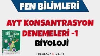 AYT Konsantrasyon Denemeleri 1  Sayısal  Fen Bilimleri  Biyoloji [upl. by Eilema]