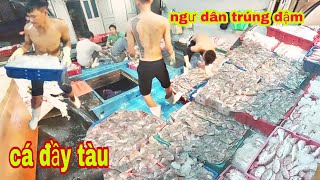 đánh bắt cá trên biển ngư dân trúng cá đầy khoang về cập cảng bán cá  dân biển quê tôi [upl. by Goodspeed]