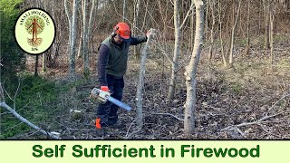 Growing Trees for Firewood  Coppicing  Smallholding UK [upl. by Ahtelrac]