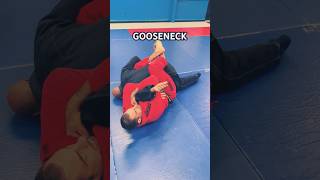 GOOSENECK from Inside Guard  BJJ Jiujitsu MMA self defence [upl. by Alithia]