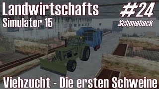 LS15 I Schönebeck 24 ★ Viehzucht  Die ersten Schweine ★ Landwirtschafts Simulator 15 DeutschHD [upl. by Jourdan]