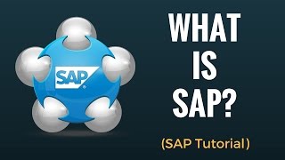 What is SAP Why do we need ERP Beginner Tutorial [upl. by Awhsoj]