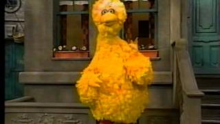 Sesame Street  Big Bird Wants to Sing His Favorite Song [upl. by Trumann75]