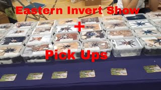 Eastern Invert Show  Pick Ups [upl. by Staley]