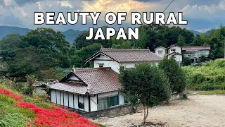 The Beauty of Rural Japan During Higanbana Season  Akiya House Future amp Countryside Living [upl. by Hayalat108]