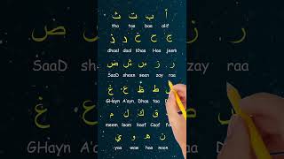 MEMORIZE The Alphabet Alphabet arabic arabicletters arabicalphabet learnarabic arabiccourse [upl. by Ilrebma]