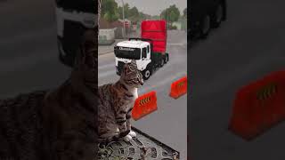 kucing kaget gara gara truck trailer kucinglucu kucungkaget anakkucing shorts [upl. by Isobel424]