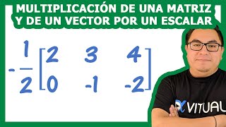 Multiplicación de una matriz y de un vector por un escalar  Álgebra lineal – VitualU [upl. by Layor]