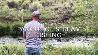 Panguitch Lake Stream Fishing [upl. by Benetta]