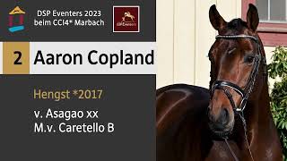 KN 2 Aaron Copland Hengst  2017 v Asagao xx  Caretello B [upl. by Anitnamaid]