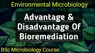 BScMicrobiologysem3 Environmental Microbiology Advantages amp Disadvantages of Bioremediation [upl. by Weston]