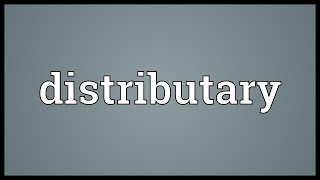 Distributary Meaning [upl. by Shreve]