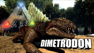 Taming A Dimetrodon  Ark Survival Evolved  The Island [upl. by Liakim]