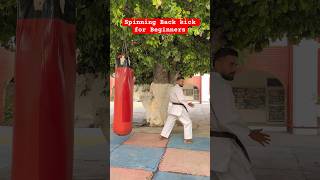 Spinning Back Kick for Beginners shorts youtubeshorts selfdenfense [upl. by Pineda]