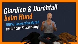 GIARDIEN amp DURCHFALL beim Hund LOSWERDEN ohne Medikamente  Natürliche Behandlung amp Futter [upl. by Golightly748]