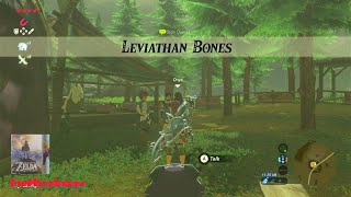 Leviathan Bones Walkthrough  The Legend of Zelda Breath of the Wild [upl. by Enetsuj]