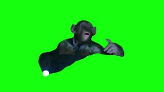 Oh No Planet of the Apes Meme Green Screen [upl. by Lieno]