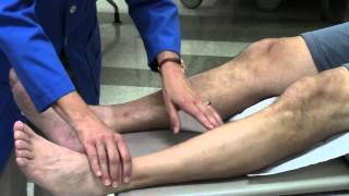 Peripheral vascular system assessment [upl. by Esinrahc]