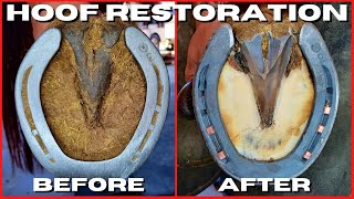 Farrier ASMR  Very Satisfying Hoof Restoration [upl. by Libbna]