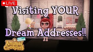 Visiting YOUR Dream Addresses  Animal Crossing New Horizons [upl. by Einittirb350]