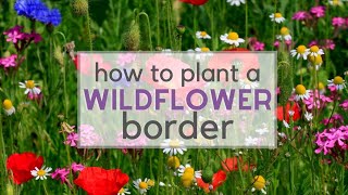 How to plant a Wildflower Border [upl. by Secor]