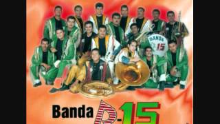 Banda R 15 Voy a Tumbar La Casita [upl. by Ellennej]